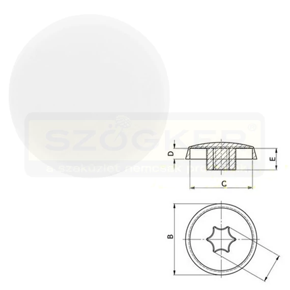 TAKARÓSAPKA TORX-40 FEHÉR TOKRÖGZÍTŐ FALCSAVARHOZ IMPORT 100DB/CSOMAG