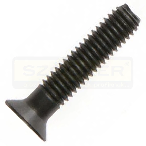 BALMENETES CSAVAR M6*25 TOKMÁNYHOZ HIKOKI 744087