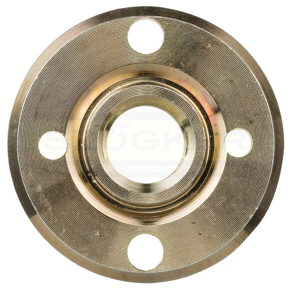 BOSCH 1600A001PG SZORÍTÓ ANYA M14
