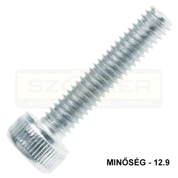 BK HENGERESFEJŰ M6*60 DIN 912 12.9 HG. TM EGYEDI IMPORT
