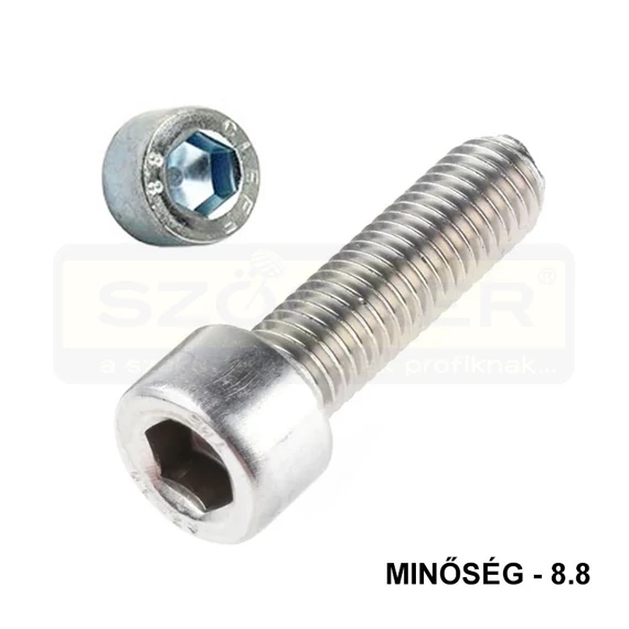 BK HENGERESFEJŰ M6*100 DIN 912 8.8 HG. TM EGYEDI IMPORT