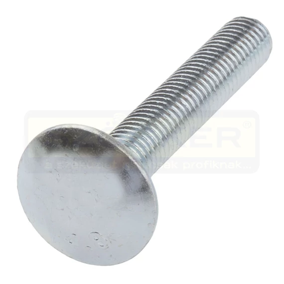 KAPUPÁNTCSAVAR M6*12 DIN 603 4.6 HG.EGYEDI AL.NSZÖG IMPORT TÁLCACSAVAR