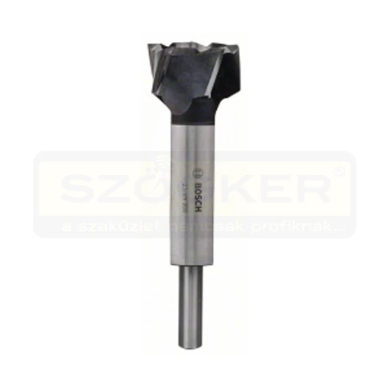 BOSCH 2608585748 FATIPLIVÁGÓ 35*160mm
