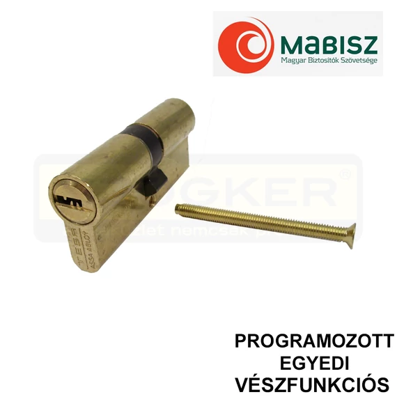 TESA T60 EGYEDI CIL.ZÁRBETÉT PONTFURATOS 40/65 SR. 1K. PROGRAM. VÉSZFUNKCIÓS