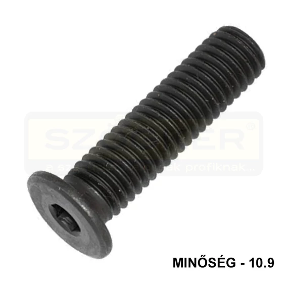 BK HENG. LAPOSFEJŰ M05*016 BN 1206 10.9 NAT.