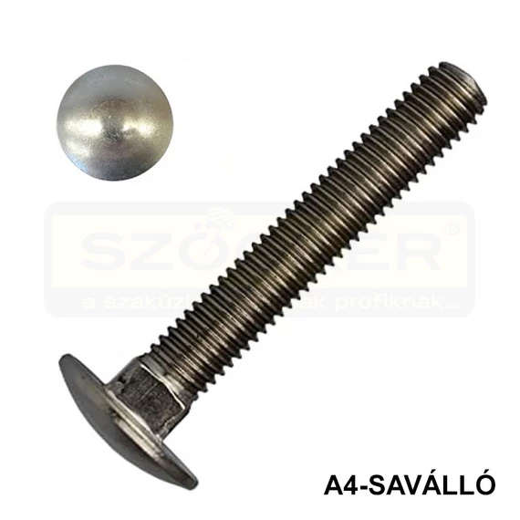 KAPUPÁNTCSAVAR M6*50 DIN 603-A4 SAVÁLLÓ