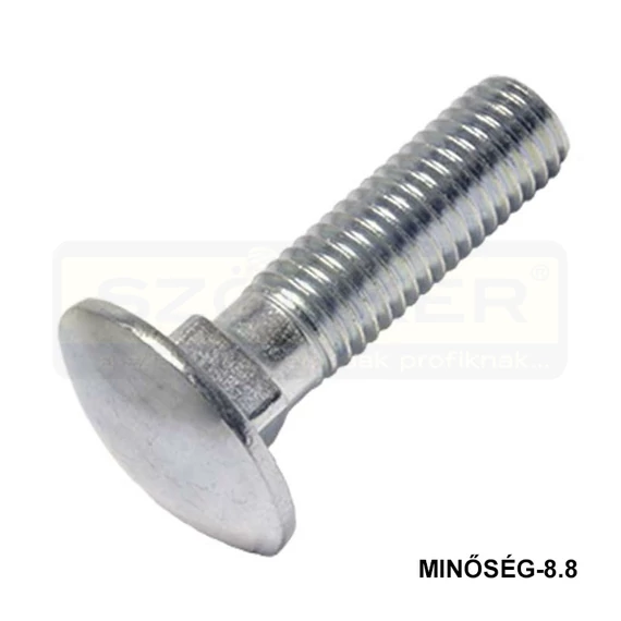 KAPUPÁNTCSAVAR M8*30 DIN 603 8.8 HG.