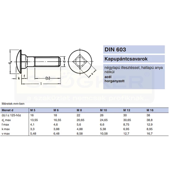 KAPUPÁNTCSAVAR M8*30 DIN 603 4.6 HG.