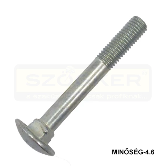 KAPUPÁNTCSAVAR M8*55 DIN 603 4.6 HG.