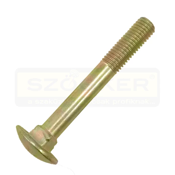 KAPUPÁNTCSAVAR M6*60 DIN 603 4.6 SHG. EGYEDI RETRO