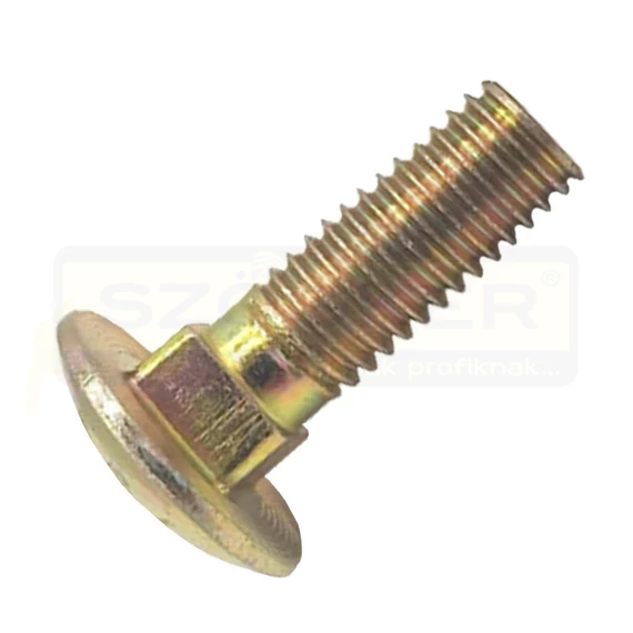KAPUPÁNTCSAVAR M6*40 DIN 603 4.6 SHG. EGYEDI RETRO