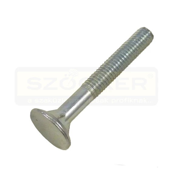 SÖRPAD-PADLÓCSAVAR M06*040 DIN 605