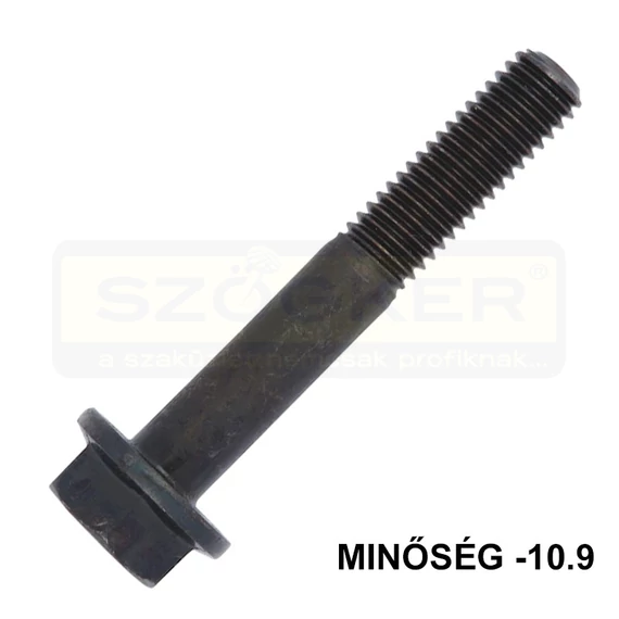 HLF CSAVAR ALÁTÉTES M14*50 DIN 6921-10.9 NAT. RM IMPORT