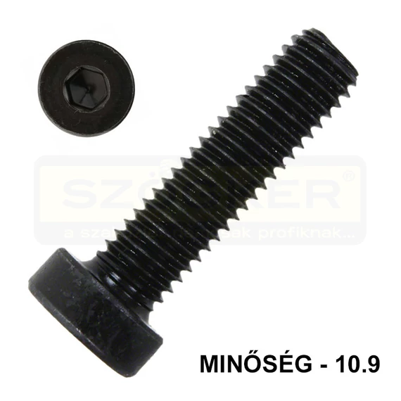 BK HENG. ALACSONYFEJŰ M6*10 DIN 7984 10.9 NAT. NEM CSAPOLT IMPORT