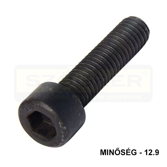 BK HENGERESFEJŰ M8*30 DIN 912 12.9 NAT. IMPORT