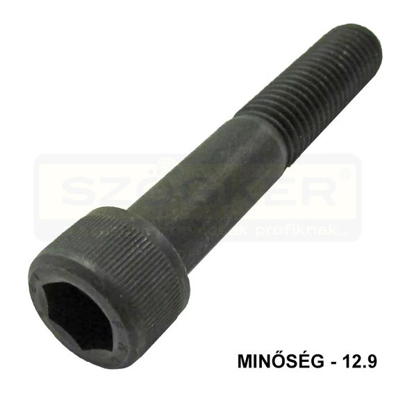 BK HENGERESFEJŰ M6*55 DIN 912 12.9 NAT. IMPORT