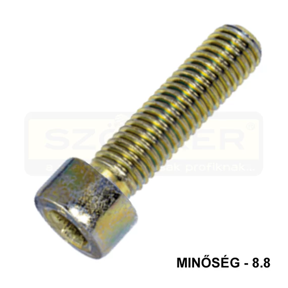 BK HENGERESFEJŰ M6*12 DIN 912 8.8 SHG. EGYEDI RETRO