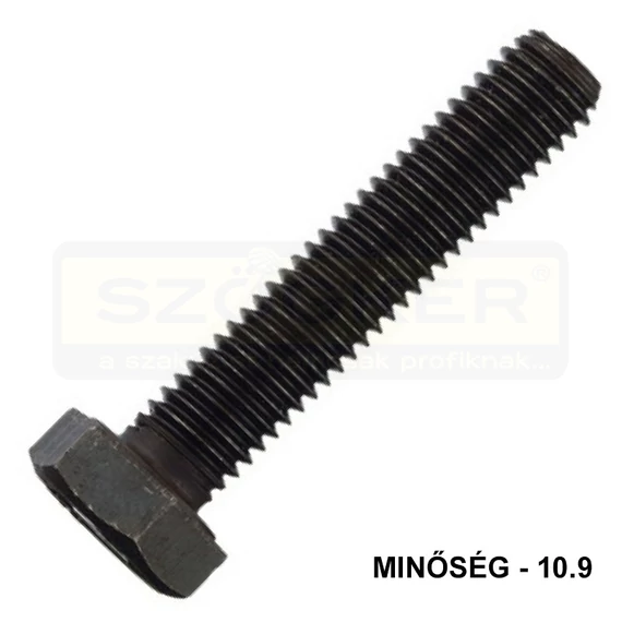 HLF CSAVAR M18*70 DIN 933-10.9 NAT. TM