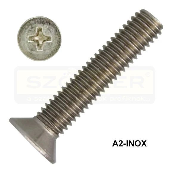 SFKH CSAVAR M2*10 DIN 965 A2 PH INOX