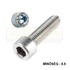 BK HENGERESFEJŰ M6*100 DIN 912 8.8 HG. TM EGYEDI IMPORT