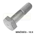 HV CSAVAR HLF M20*100 DIN 6914-10.9 THG. RM EN 14399-4