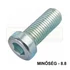 BK HENG. ALACSONYFEJŰ M6*20 DIN 7984 8.8 HG. NEM CSAPOLT IMPORT