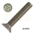 SFKH CSAVAR M2*10 DIN 965 A2 PH INOX